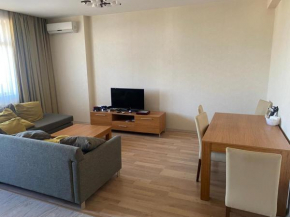 Apartment in center for COP29 guests
